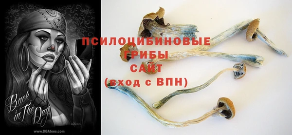 СК Абаза