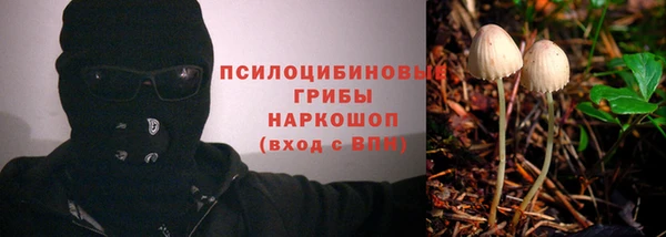 mdma Нязепетровск