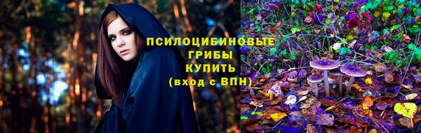 мет Няндома