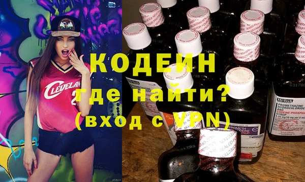 мет Няндома